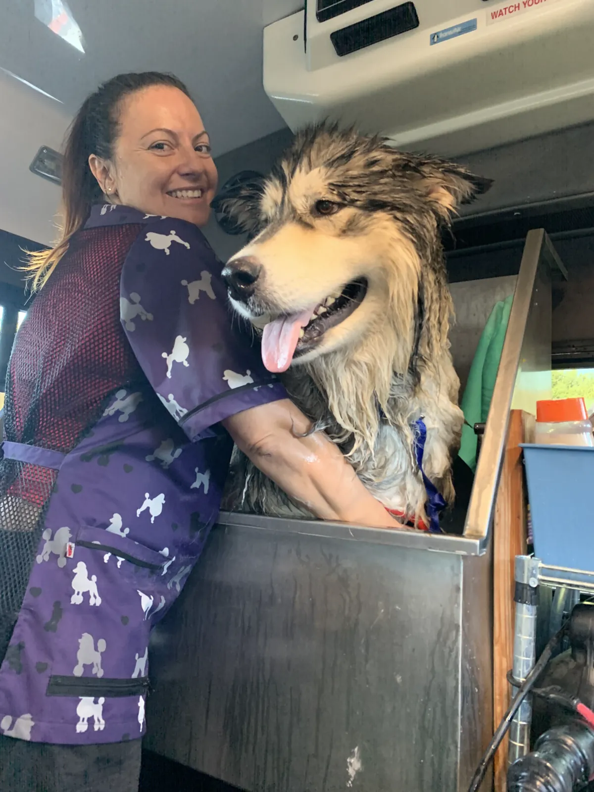 Eco Paw Spa groomer helping a large dog during bath time